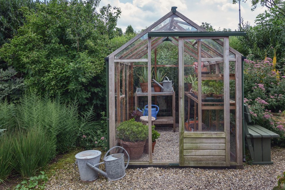 vegetable garden