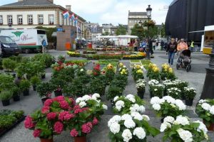 Market flowers galore